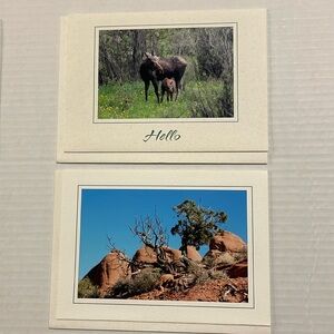 07 SET OF 12 Nature Photo Greeting Cards: elk, iguana, flower, moose, bird, arch